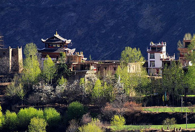 中国最美景观大道 丹巴藏寨 米堆冰川 林芝桃花（9日行程）