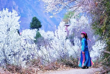 3月四姑娘山丹巴藏寨金川梨花 休闲摄影（6日行程）