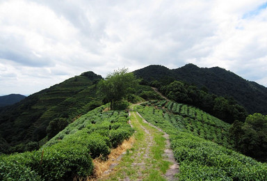 3月10至11环西湖群山毅行（2日行程）