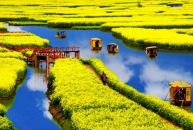 扬州 多期 梦回扬州 兴化油菜花 瘦西湖 何园休闲赏花摄影游（2日行程）