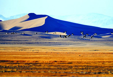 拉萨出发阿里大北线 阿里南线进入大美新疆喀什和田绕道青海湖（19日行程）