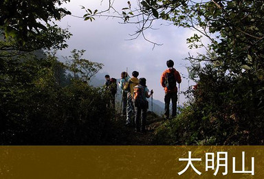 3月9日自虐反穿大明山(3日行程) 3月9日自虐反穿大明山(3日行程)