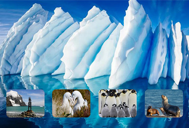 2018南极探险 企鹅温泉浴雪山冲锋艇南美风情（16日行程）