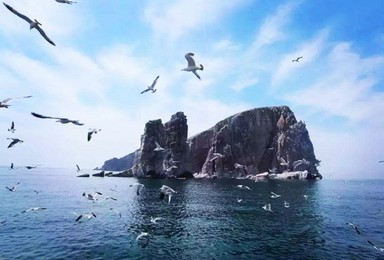 清明节 长岛游 蓬莱万鸟岛 候叽岛 庙岛 海豹苑 拍片吃海鲜(4日行程) 清明节 长岛游 蓬莱万鸟岛 候叽岛 庙岛 海豹苑 拍片吃海鲜(4日行程)