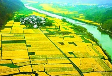 清明节 陶醉婺源油菜花 漫游江南小镇 看三清山云海 火车团(4日行程) 清明节 陶醉婺源油菜花 漫游江南小镇 看三清山云海 火车团(4日行程)