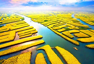 清明节 千岛油菜花 瘦西湖 个园 何园 京杭大运河(4日行程) 清明节 千岛油菜花 瘦西湖 个园 何园 京杭大运河(4日行程)