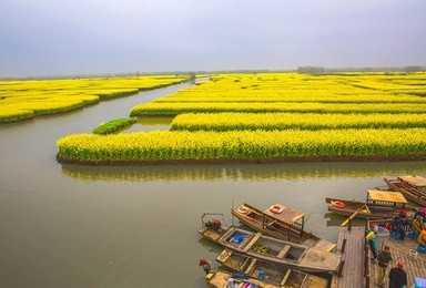 清明节 千岛油菜花 秦淮河夜景 夫子庙 中山陵 雨花台(4日行程) 清明节 千岛油菜花 秦淮河夜景 夫子庙 中山陵 雨花台(4日行程)