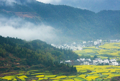 婺源风景区纯玩跟团游 摄影随拍 交友互动(2日行程) 婺源风景区纯玩跟团游 摄影随拍 交友互动(2日行程)