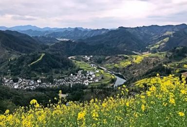 女神半价 3月17日 漫步石潭花海 行摄新安江山水画廊（3日行程）