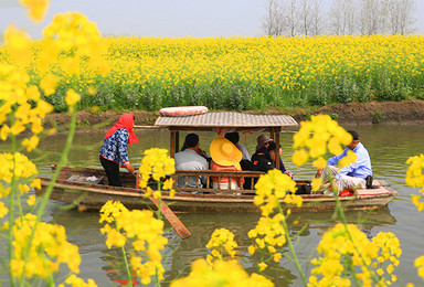 3月走进水墨婺源 赴一场油菜花盛宴（2日行程）