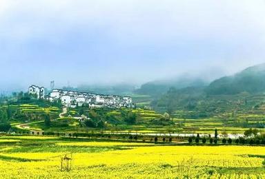 清明徽州 黄山 宏村 呈坎 灵山 赏徽派建筑徒步油菜花田(3日行程) 清明徽州 黄山 宏村 呈坎 灵山 赏徽派建筑徒步油菜花田(3日行程)