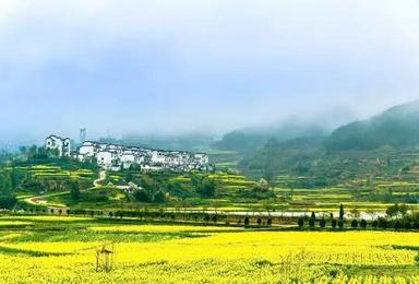 清明徽州 黄山 宏村 呈坎 灵山 赏徽派建筑徒步油菜花田（3日行程）