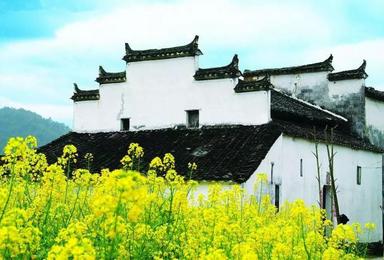 清明行摄婺源油菜花 徒步千年驿道 游仙境古村 感受人文气息(3日行程) 清明行摄婺源油菜花 徒步千年驿道 游仙境古村 感受人文气息(3日行程)