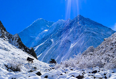 全新计划 1比2含装备 贡嘎 卫峰 那玛峰(6日行程)