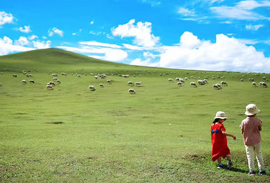 呼伦贝尔亲子游草原牧羊娃 暑期大手牵小手欢乐特色亲子活动体验（6日行程）