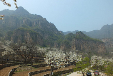 上方山穿越赏花之旅（1日行程）