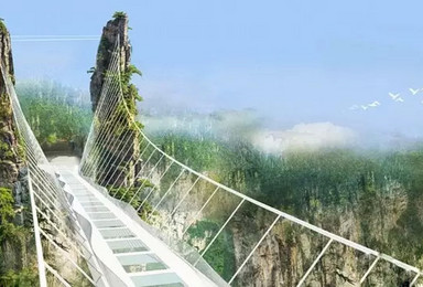 节假日高铁张家界挑战大峡谷玻璃桥 游国家森林公园 纯玩（3日行程）