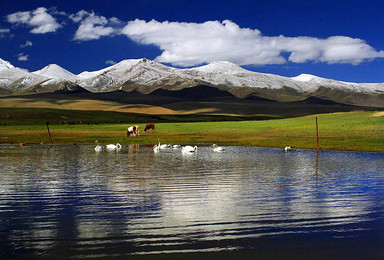 大美中国 丙察察 拉萨 阿里 新疆 新藏线 丝绸之路（25日行程）