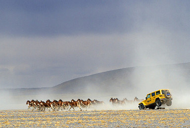 可可西里 跟随藏羚羊迁移的脚步走进可可西里 越野大西北（8日行程）