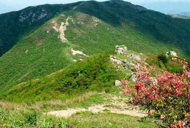 踏青赏花 满山杜鹃花 轻装黑洞瀑布群 铁匠山徒步（2日行程）