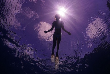 塞班岛自由潜水拍摄（1日行程）