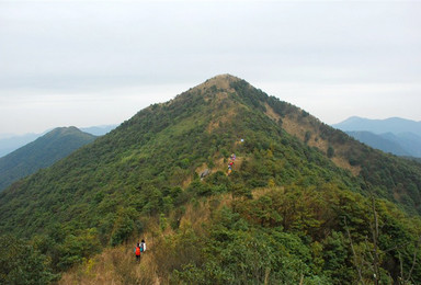 广州出发从化天堂顶爬山 登广州第一峰 海拔1210米（1日行程）