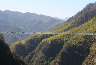 仙境灵江源森林公园 挑战华东第一玻璃桥 体验刺激一线天（2日行程）