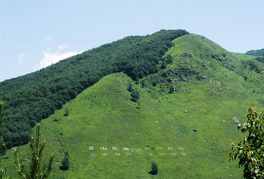 端午D3 登北京最高峰东灵山2303 高山草甸一览众山小（1日行程）