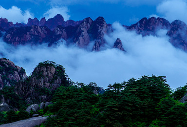 端午 黄山 大巴团 木坑竹海 宏村 屯溪老街 新安江山水画廊（4日行程）