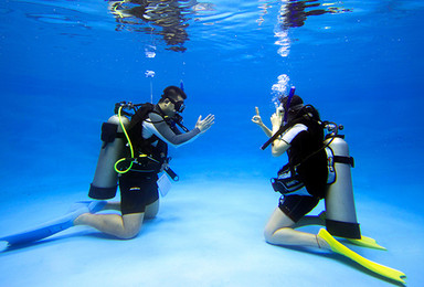室内潜水体验课程 玩转蓝色星球第一步（1日行程）