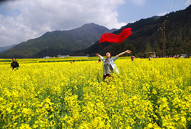 呼伦贝尔大草原 阿尔山 满洲里 扎龙湿地 额尔古纳 黑山头（6日行程）