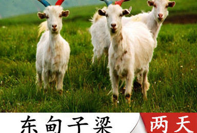 露营季 东甸子梁 比海坨山还美的宿营圣地(2日行程) 露营季 东甸子梁 比海坨山还美的宿营圣地(2日行程)