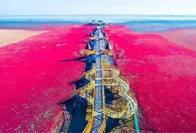 红海滩 天下奇观红海滩 神奇天路笔架山 全程无夜车(3日行程) 红海滩 天下奇观红海滩 神奇天路笔架山 全程无夜车(3日行程)