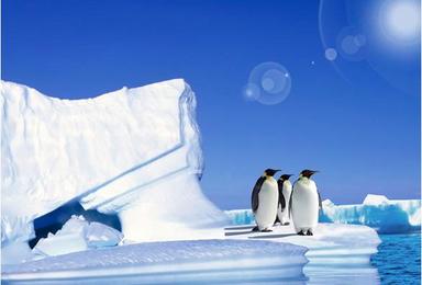 南极摄影巡游  中国人自己包船的南极之旅（16日行程）