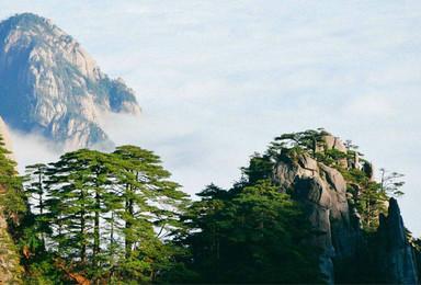 绝美黄山 人间仙境 亲近自然 登顶黄山 醉美云海日出(3日行程) 绝美黄山 人间仙境 亲近自然 登顶黄山 醉美云海日出(3日行程)