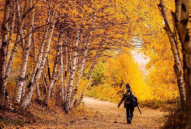 秋季内蒙古克什克腾世界地质公园 北京 乌兰布统坝上草原摄影（6日行程）