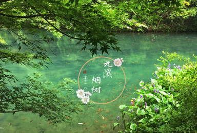 9月1日休闲徒步杭州九溪十八涧(1日行程) 9月1日休闲徒步杭州九溪十八涧(1日行程)