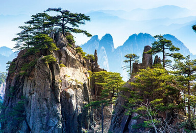 国庆黄山火车 宏村 西递 木坑 屯溪老街 黄山云海奇峰(4日行程) 国庆黄山火车 宏村 西递 木坑 屯溪老街 黄山云海奇峰(4日行程)