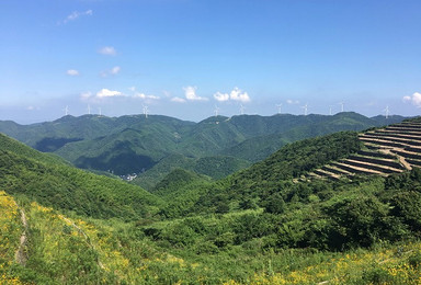国庆10月5日宁波菩提岭古道 风车公路(1日行程) 国庆10月5日宁波菩提岭古道 风车公路(1日行程)