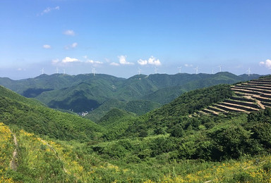 国庆10月5日宁波菩提岭古道 风车公路（1日行程）