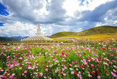 专注藏区旅行(2日行程) 专注藏区旅行(2日行程)
