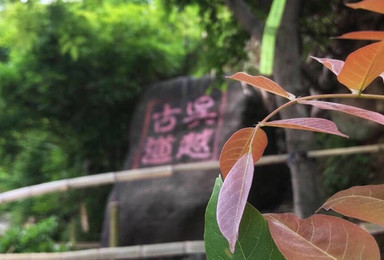 经典线路 徒步千年吴越古道 赏浙西天池 探神秘仙人洞(3日行程) 经典线路 徒步千年吴越古道 赏浙西天池 探神秘仙人洞(3日行程)