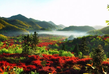 穿古村 赏红枫 栖霞坑古道邂逅魅力秋色(1日行程) 穿古村 赏红枫 栖霞坑古道邂逅魅力秋色(1日行程)