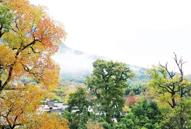 寻徽州最美秋色 探访道教名山齐云山 又见塔川红叶幽情（3日行程）