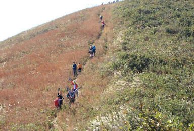 南京汤山金色九连尖穿越 登金陵小武功山 赏江南高山草甸（1日行程）