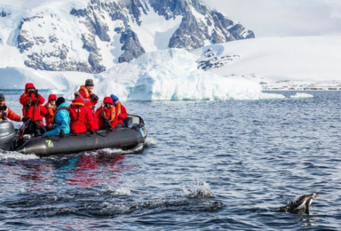 探秘极地 邂逅冰川与企鹅 南极巡航摄影之旅（16日行程）