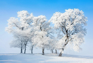 东北魔界 长白山 横道河子虎园 梦幻雪乡 水墨雾淞岛摄影团（9日行程）