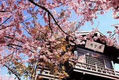 水墨徽州 黄山 宏村 木坑竹海 婺源 新安江山水画廊(4日行程) 水墨徽州 黄山 宏村 木坑竹海 婺源 新安江山水画廊(4日行程)
