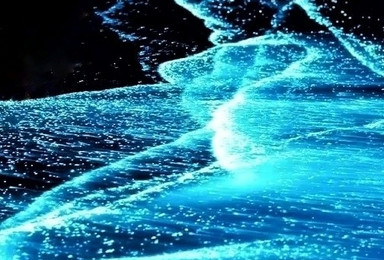 2019-5-13(图片上传报异常)(4日行程) 2019-5-13(图片上传报异常)(4日行程)