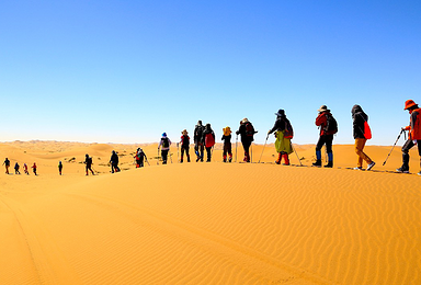 腾格里沙漠夏令营-银川-徒步探险-沙漠亲子游-王者学院5日团（5日行程）